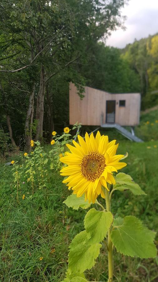 Treehut, Nature, Birds, Silence And Fjord Samlanes Bagian luar foto